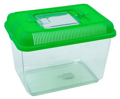 tadpole-habitat Plastic Bin Habitat for Tadpoles