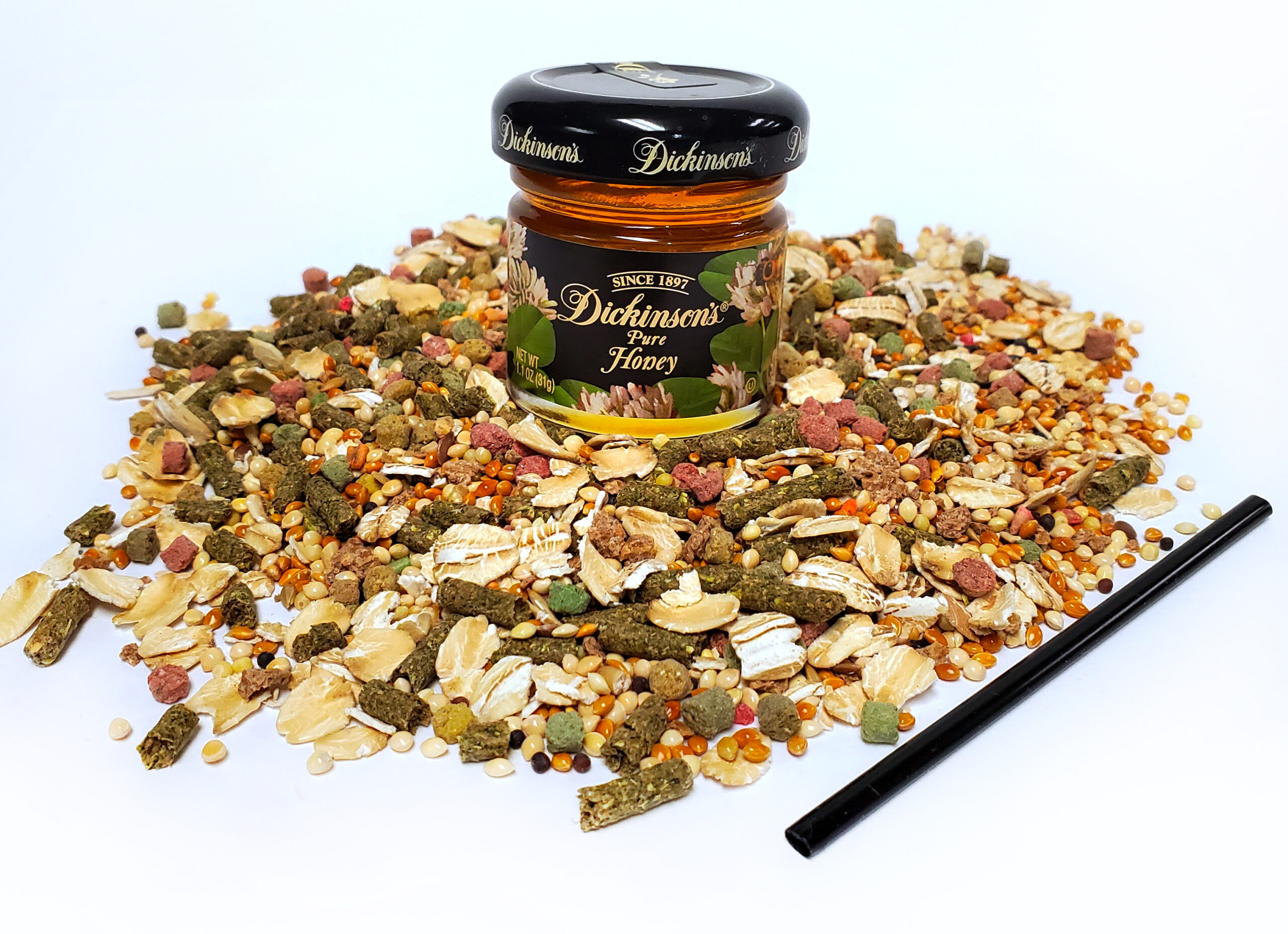 Ant Farm Kit & Ant Farms For Sale, Buy Supplies & Live Ants.