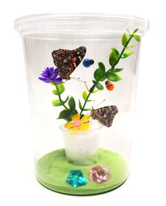 Mini Butterfly Kit
