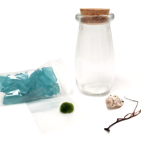 moss-ball-kit-02