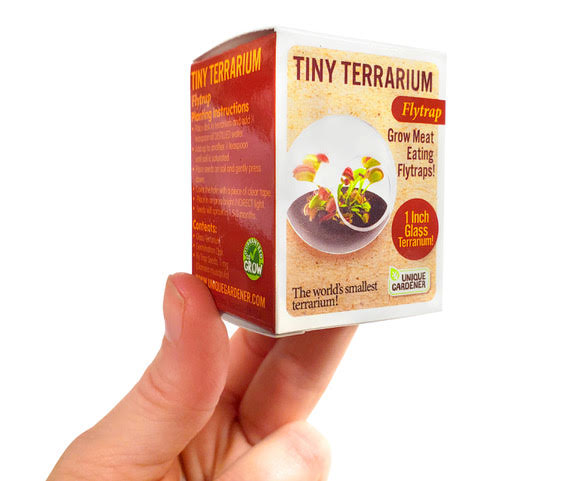 flytrap tiny terrarium