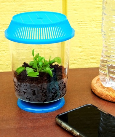 Flytrap