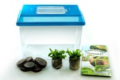 Deluxe Venus Fly Trap Kit