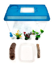 Pet frog Kit