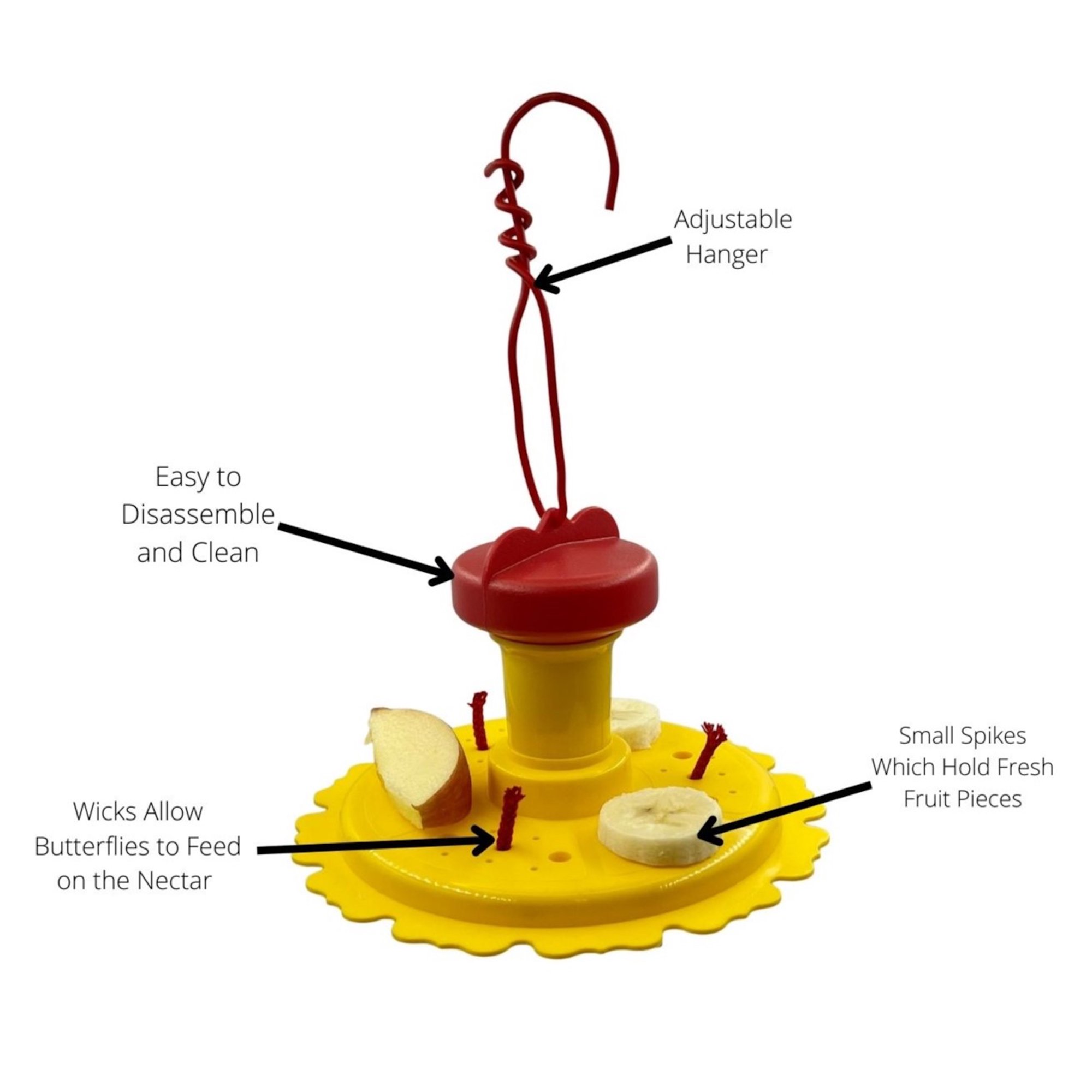 Butterfly Feeder