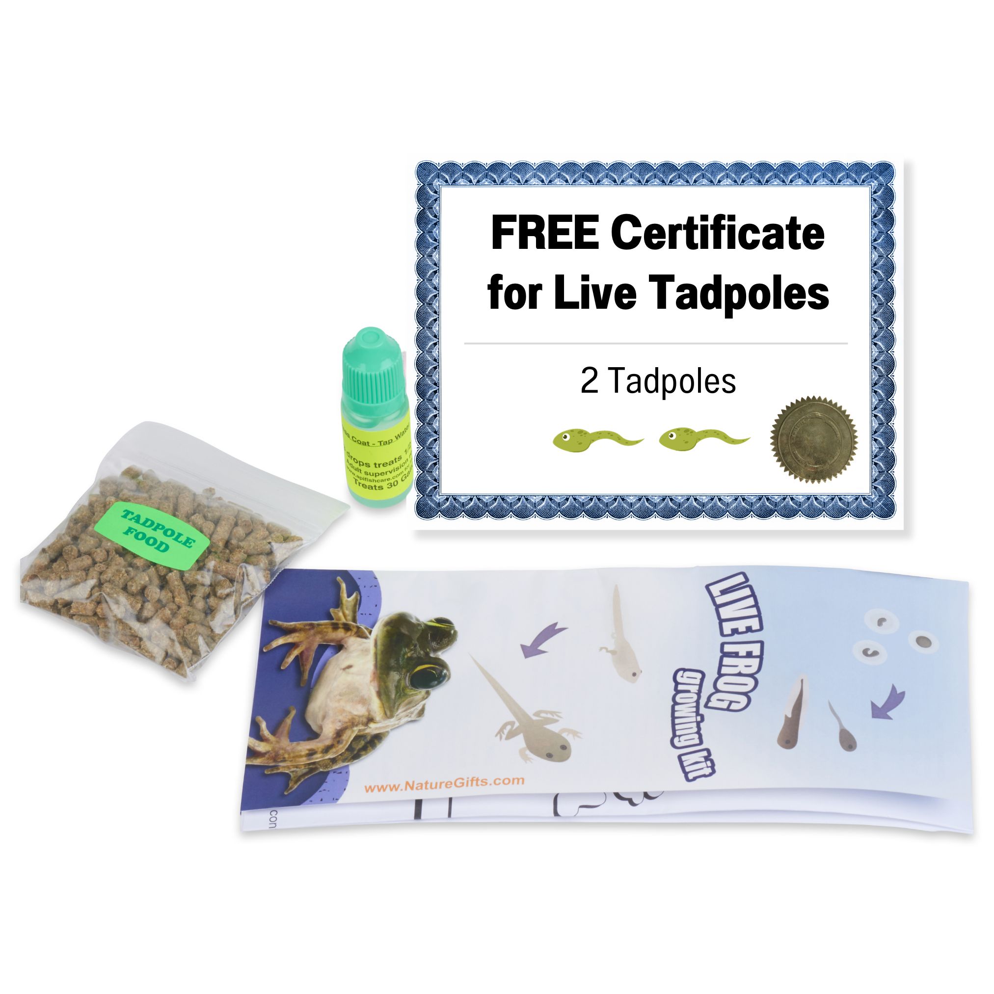 Tadpole to Frog Kit Large