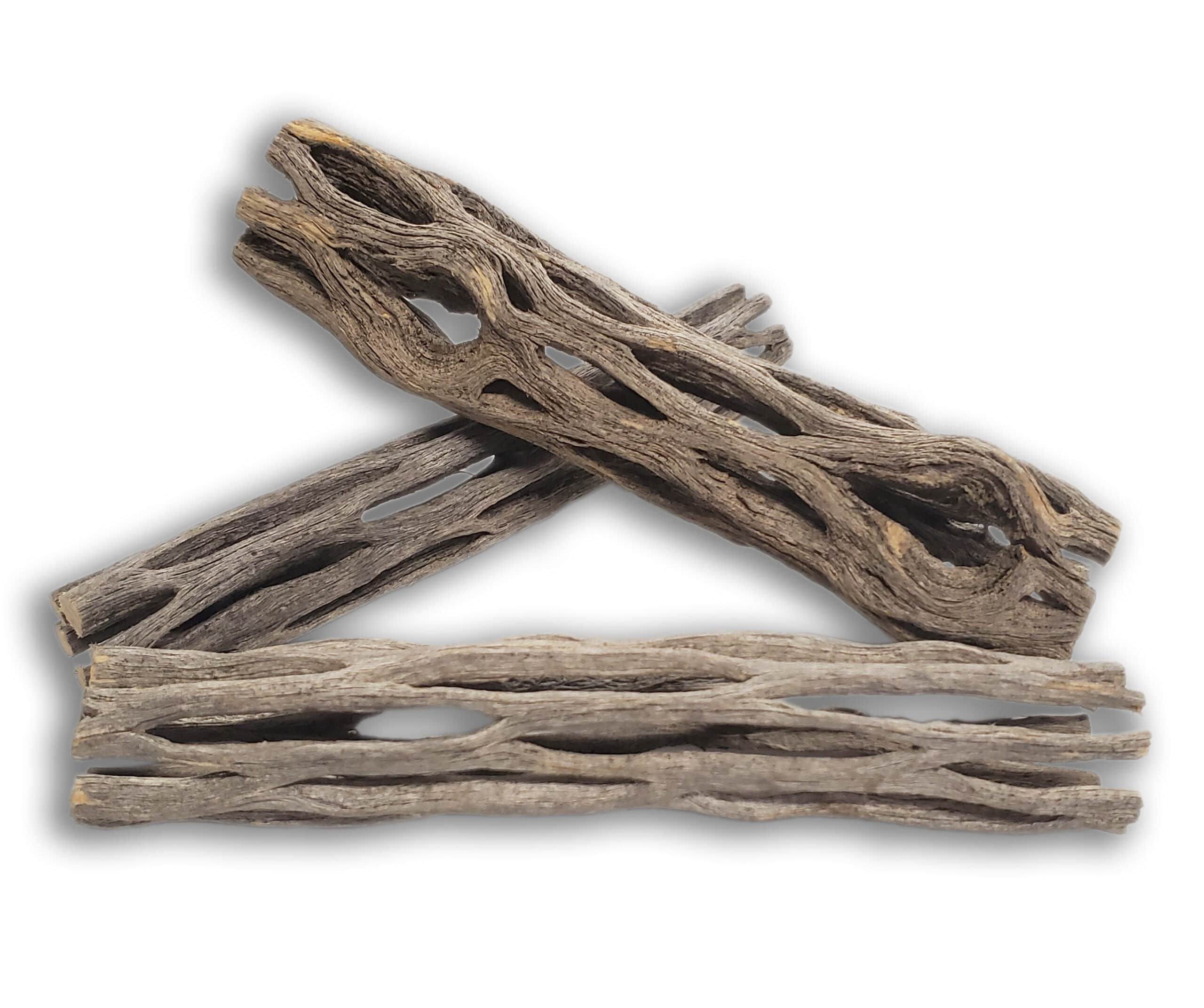 4 inch long 3 Cholla wood for your Terrarium