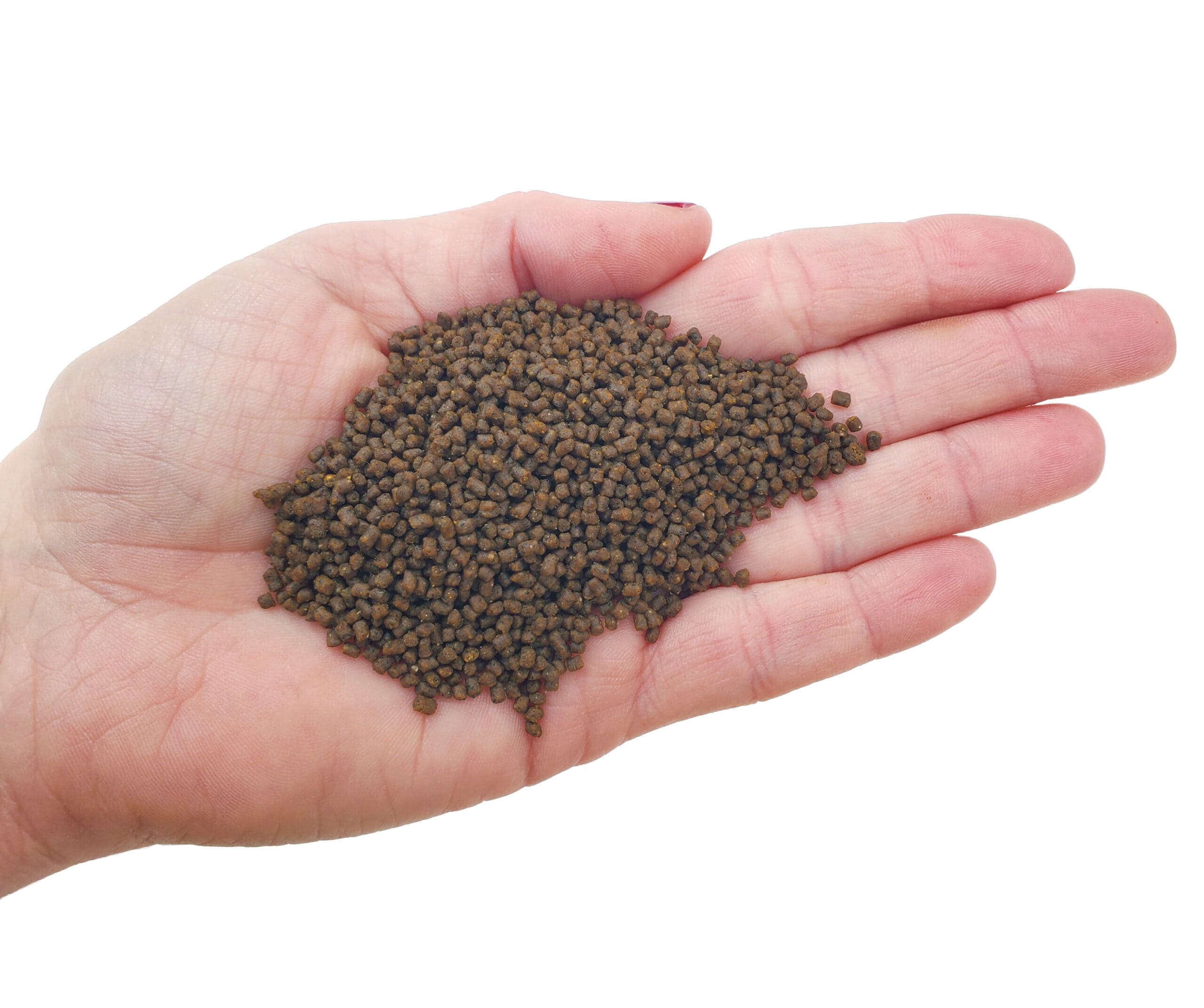African Aquatic Frog Food Custom Diet