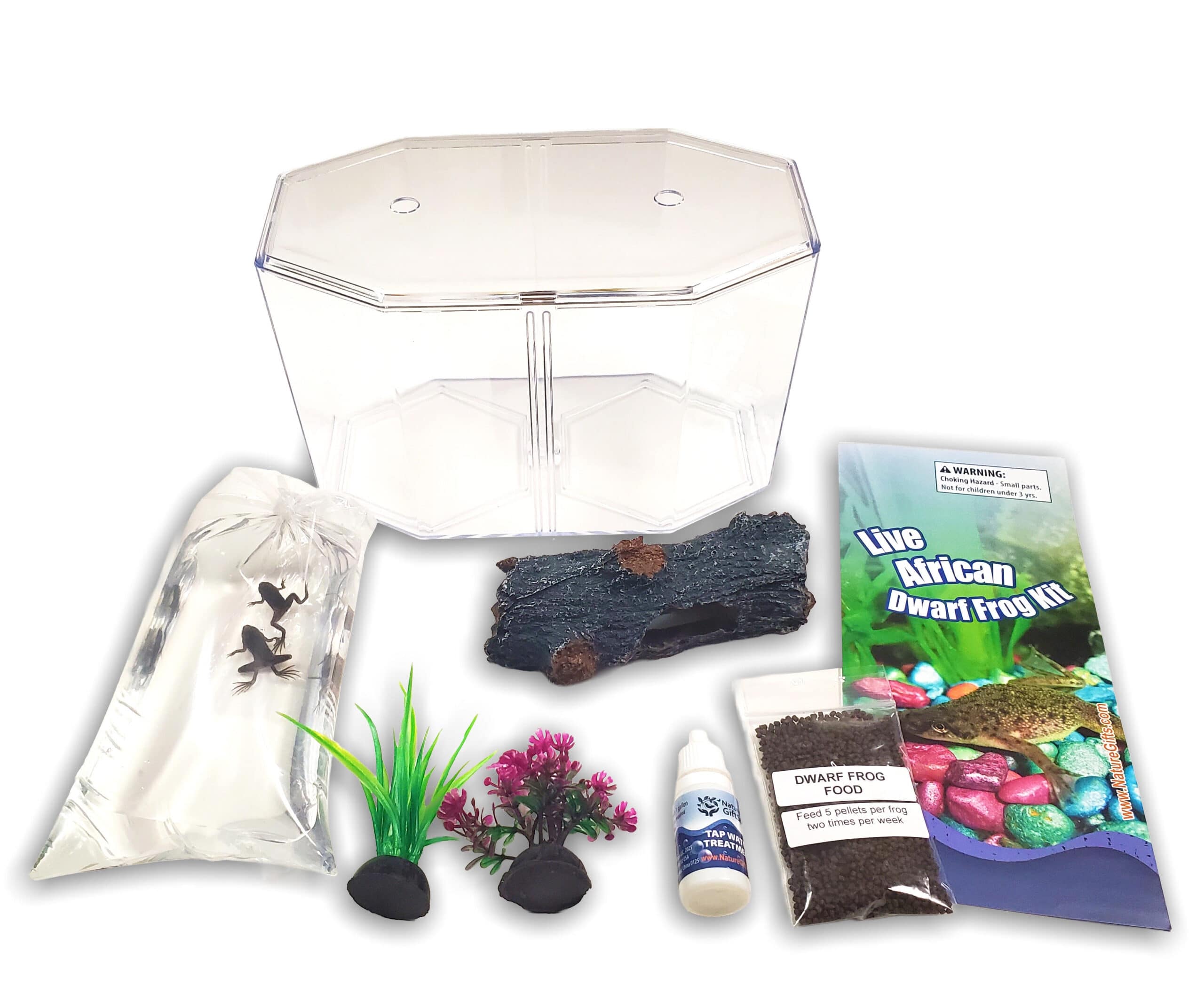 Our dwarf frog starter kit includes 2 live aquatic frogs for sale with tank and supplies! Includes 2 live pet aquatic frogs, tank (small aquarium), and supplies. Buying our african water frog+tank kit online is easy*we’ve been shipping critters for 15+ years! Inspire a curious mind with these adorable aquatic frog pets. The included small aquatic frog aquarium holds 2 frogs per habitat.