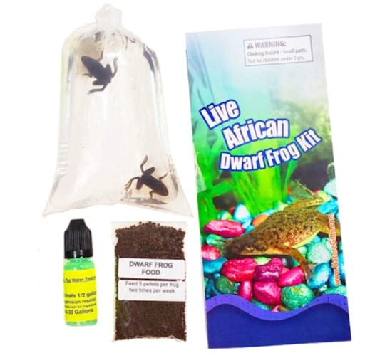 Pet Aquatic Frogs for Fish Tanks for Sale: Buy Online: 15+ Years Shipping Experience.
