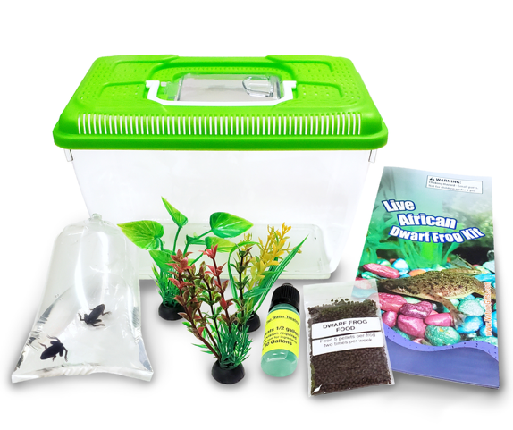 African Dwarf Frogs with Tank: Includes 2 Live Pet Aquatic Frogs+Tank+Supplies