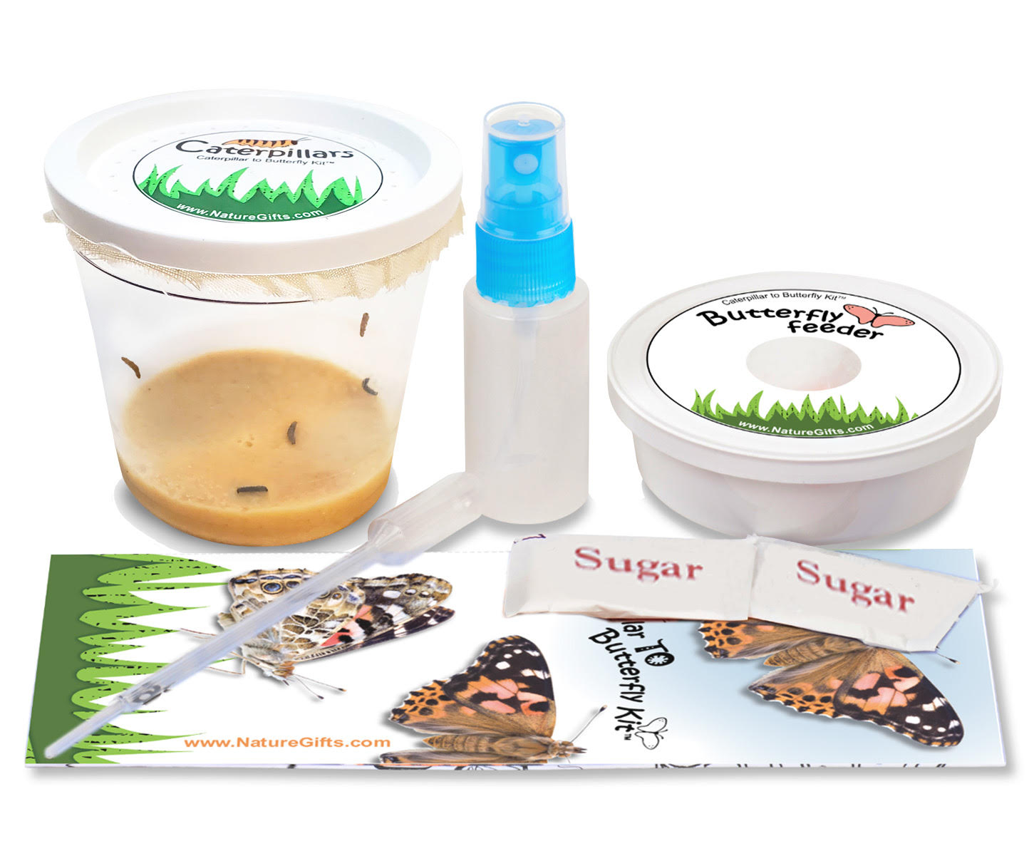 Live caterpillars for sale with all supplies needed to refill your butterflies kit except the net habitat. Buy live caterpillars for butterflies kit refill with confidence- shipping live caterpillars for 15+ years!