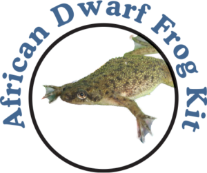 Dwarf Frogs