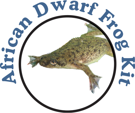 African Aquatic Dwarf Frogs for Sale! Buy Pet Water Frogs or Whole Kit with Tank.