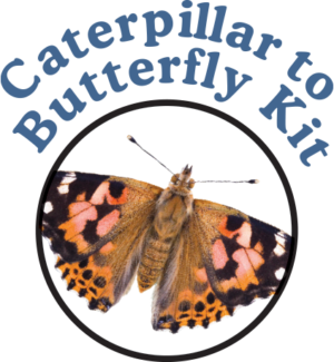 Grow Your Own Butterflies