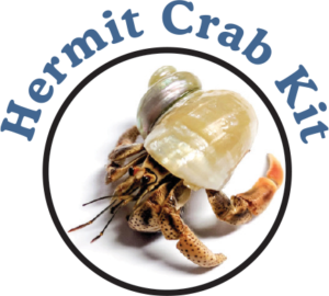 Hermit Crabs: Starter Pets