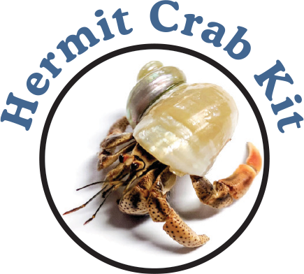 Hermit Crab Kit with Live Crabs! Plus Pet Crabs & Stuff for Your Crabitat.
