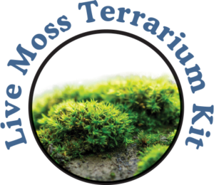 Live Moss
