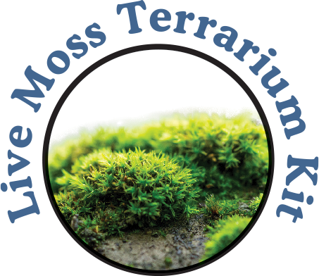 Moss Plants for Sale for Terrarium Use: Live and Actively Growing! Buy Live Moss or Whole Kit.