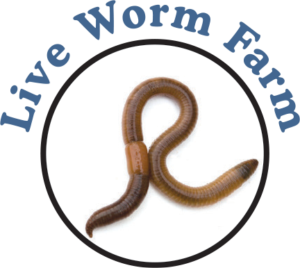 Worm Farms For Kids