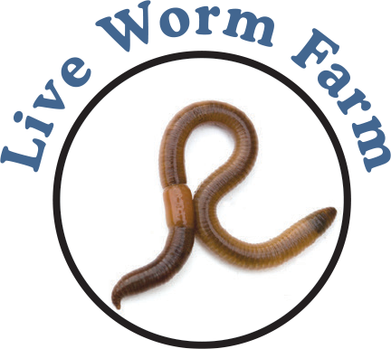Worm Farm Kit with Worms Included! Kit for Kids to Learn About Earthworms.