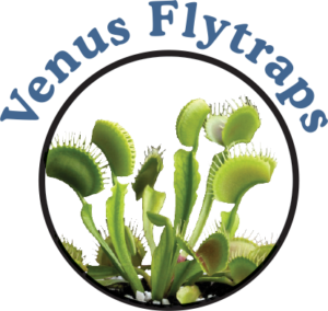 Amazing Carnivorous Plants