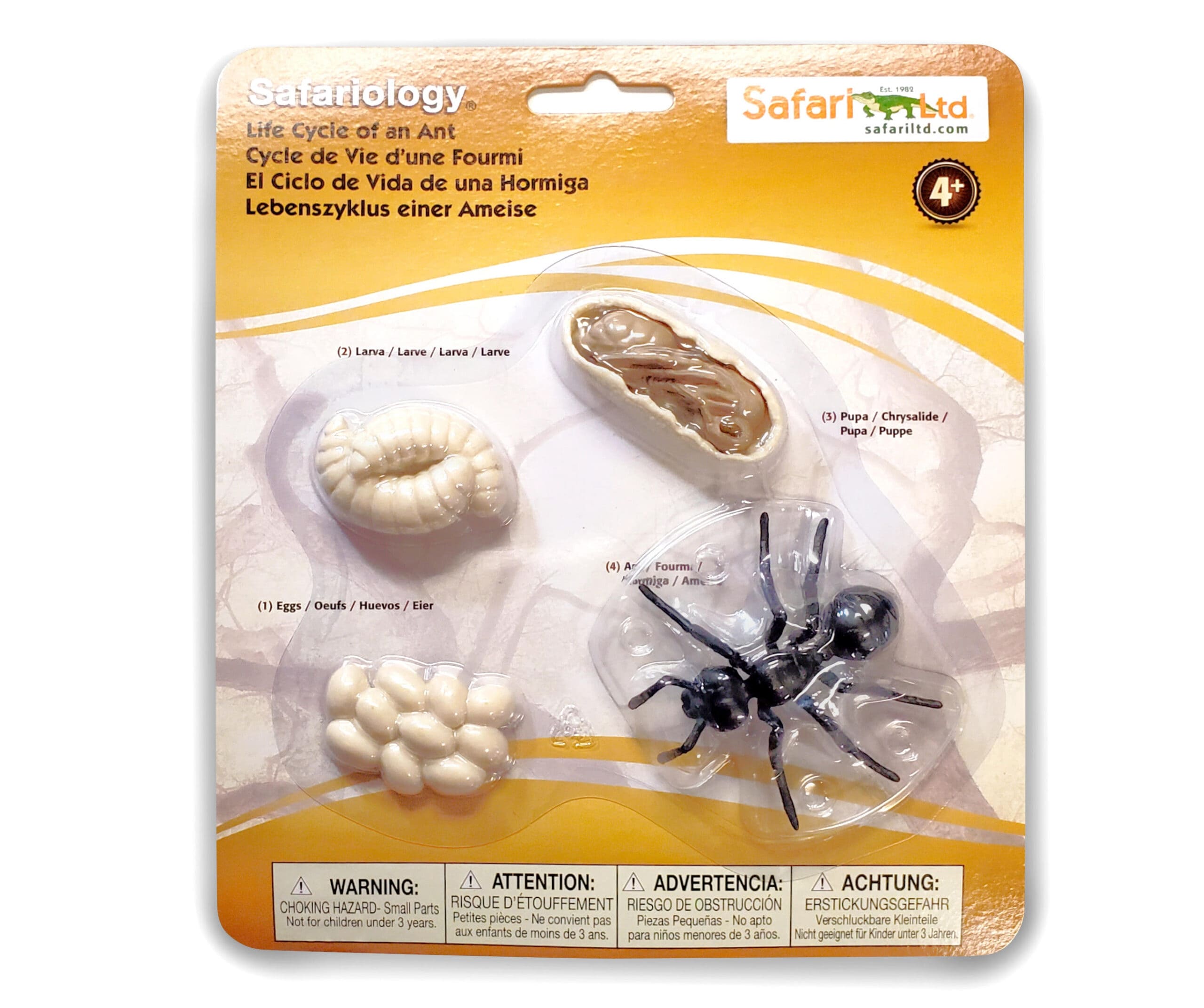 Ant life cycle figurines pack