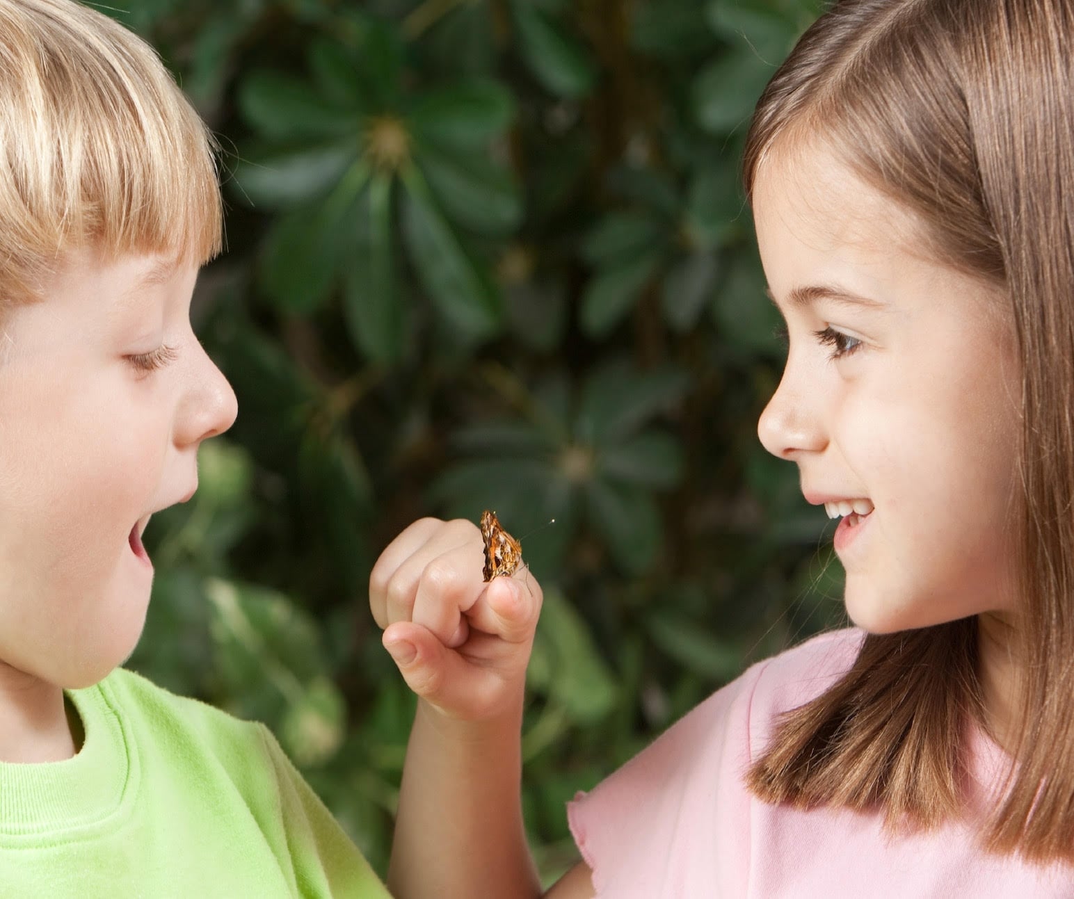 Kids playing with butterfly
