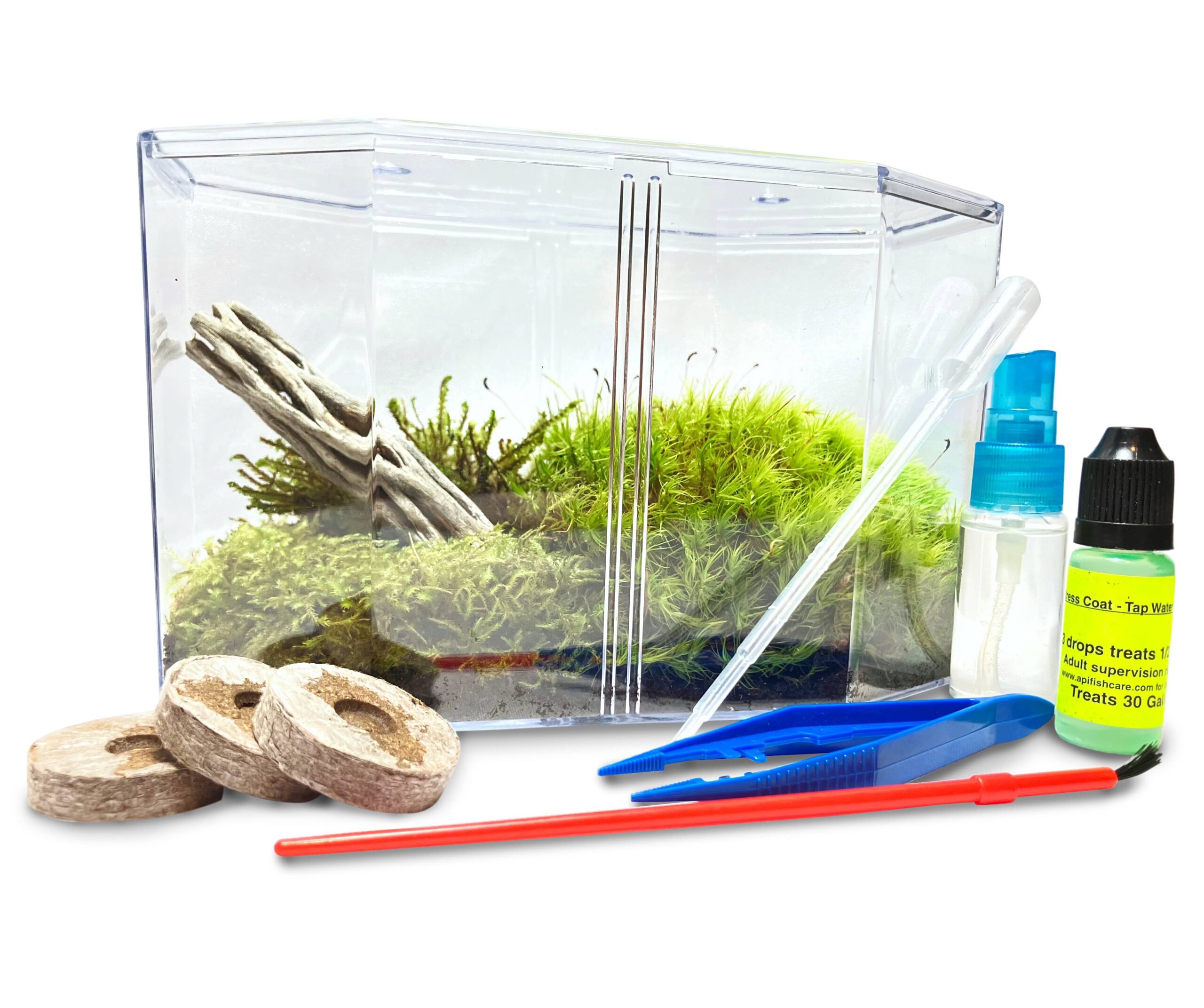 Live Moss Terrarium Kit with Supplies