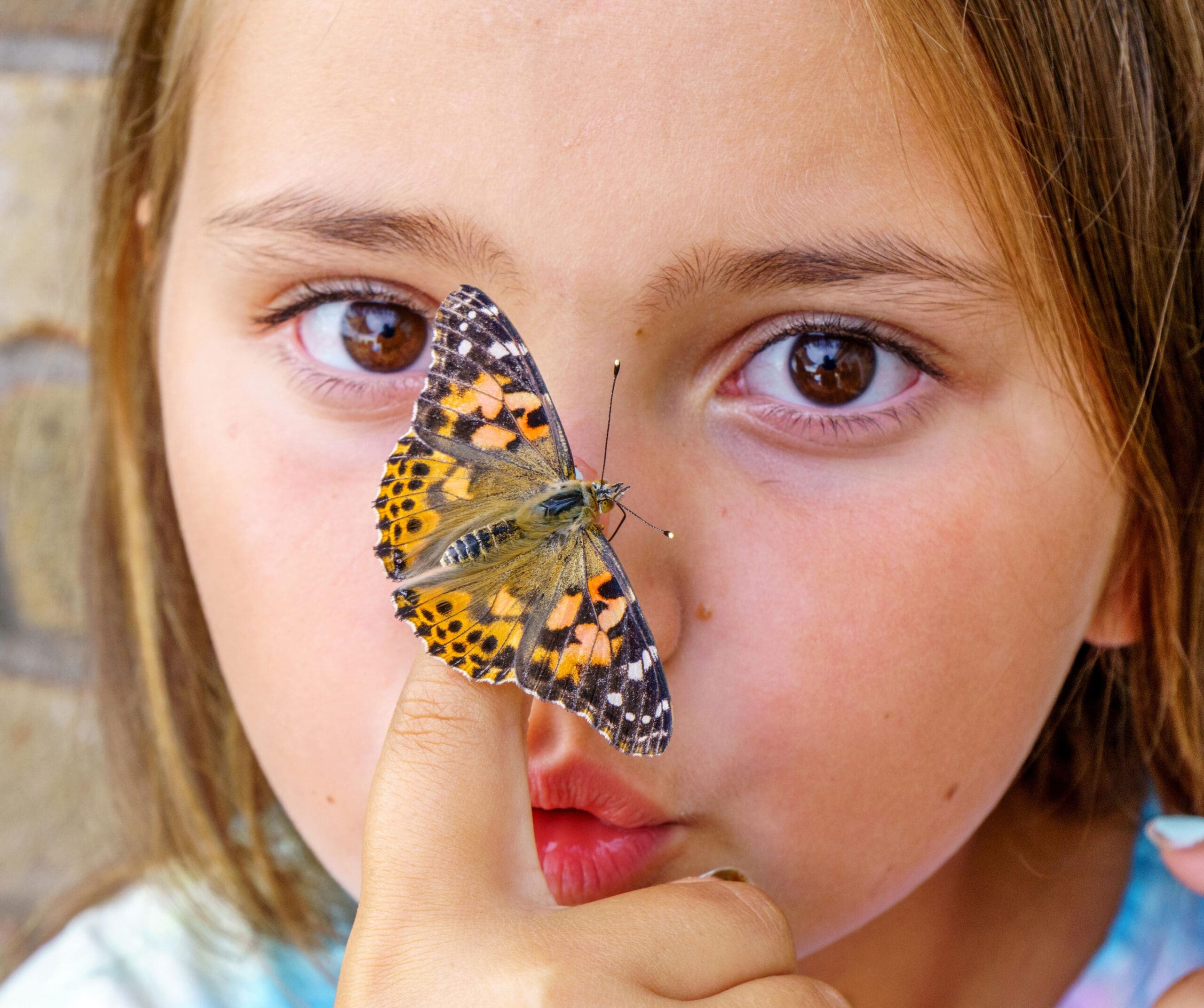 Girl playing with butterfly